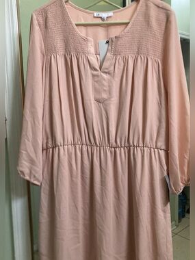 DR2 Blouson Waist Tunic Dress in Soft Peach